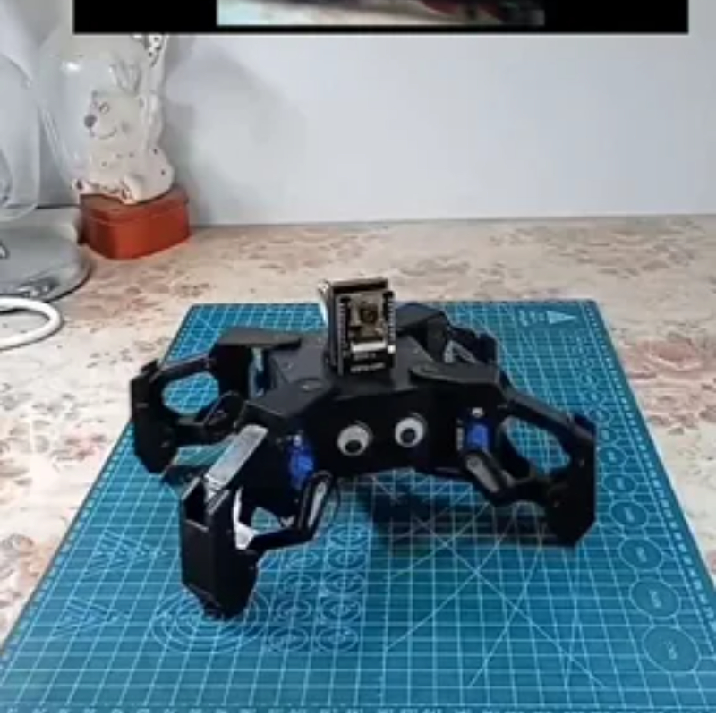 SG90 Video Robot Spider con vi - Coding Robot Toy recensione e prezzo
